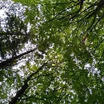 Fanaberia Zdroj * Lądek-Zdrój