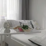Fanaberia Zdroj *