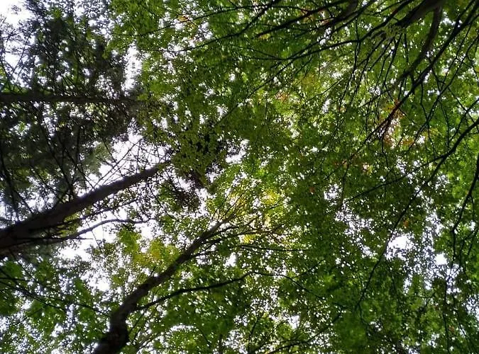 Fanaberia Zdroj * Lądek-Zdrój